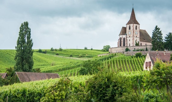 酒鄉之路 Route des Vins d'Alsace